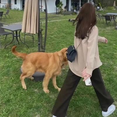 我的幸福婚约第二季